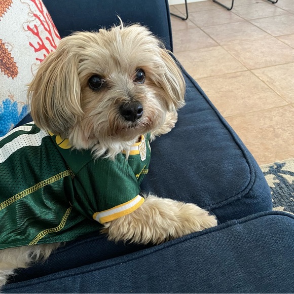 Meet your Posher, Laurie - Picture 2 of 3